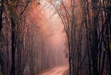 欧博官网：纳斯谈76人无缘季后赛：似乎一整个赛季伤病都没有离开我们.