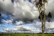 乒乓球——WTT重庆冠军赛：孙颖莎晋级半决赛.