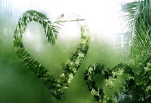 善用新规🤓裁判给鹈鹕界外球 科尔挑战成功后改判为奥妞犯规.